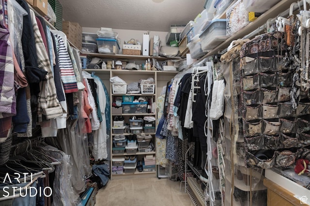 spacious closet with carpet flooring