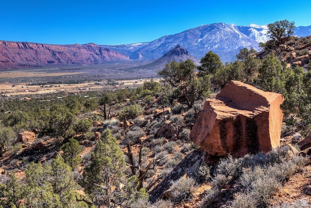 95 Bailey Ln Unit 95, Castle Valley, UT 84532
