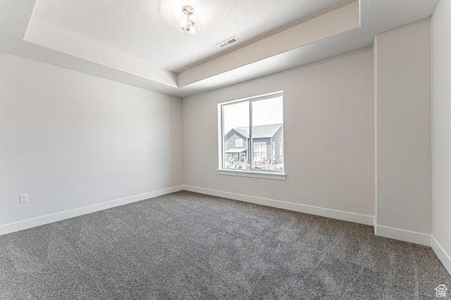 1015 N 3685 W Unit 247, Lehi, UT 84043 - carpeted empty room with a raised ceiling and a textured ceiling