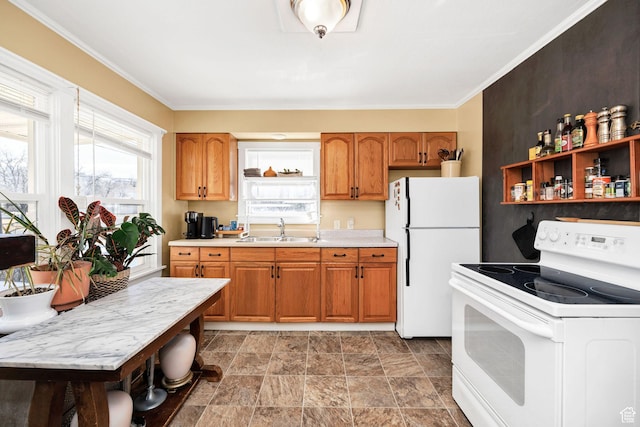 kitchen with white appliances, brown cabinetry, ornamental molding, a sink, and light countertops