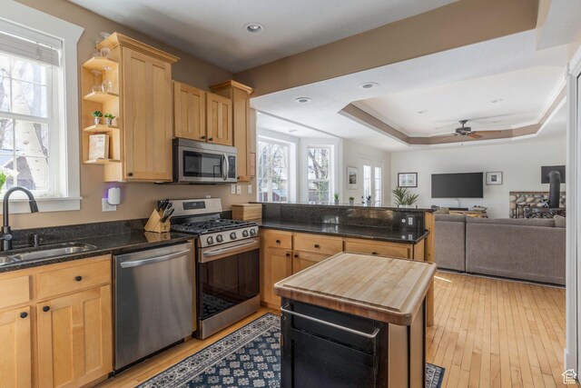 161 W Swiss Farm Way Unit 9, Midway, UT 84049 - kitchen featuring a peninsula, open shelves, a tray ceiling, a sink, and stainless steel appliances