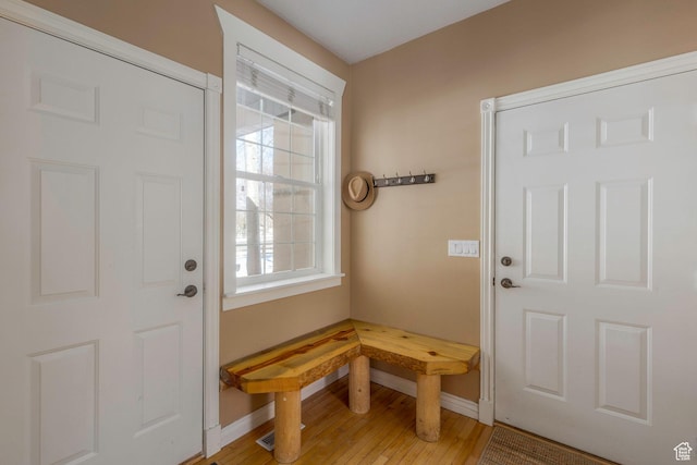 161 W Swiss Farm Way Unit 9, Midway, UT 84049 - entrance foyer with a wealth of natural light, light wood-type flooring, and baseboards
