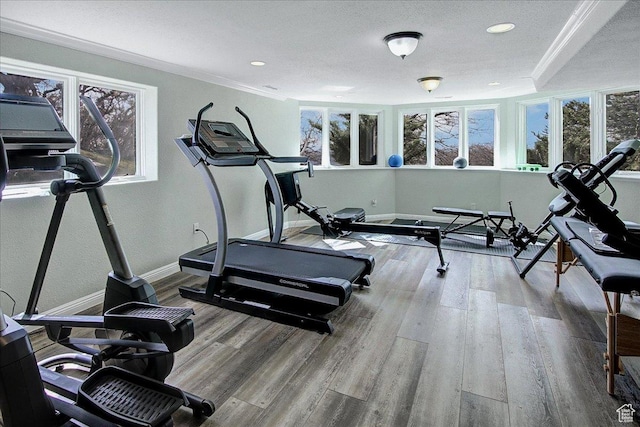 6464 Bybee Dr, Ogden, UT 84403 - exercise room featuring wood finished floors, baseboards, a wealth of natural light, and ornamental molding