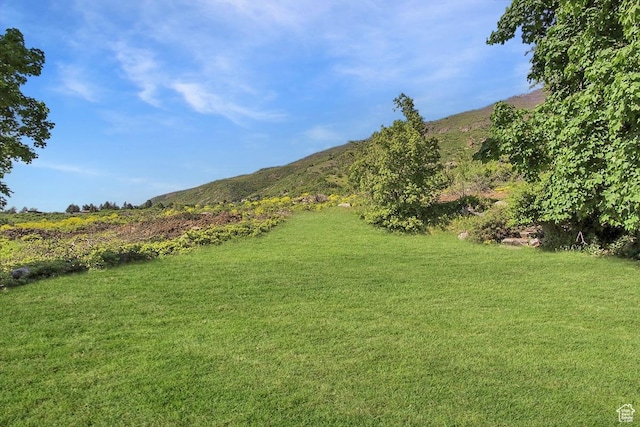 6464 Bybee Dr, Ogden, UT 84403 - view of yard featuring a mountain view
