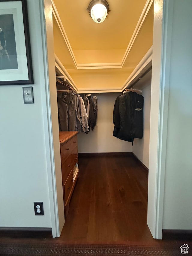 25 Avenue E, Mc Gill, NV 89318 - walk in closet featuring dark wood-type flooring