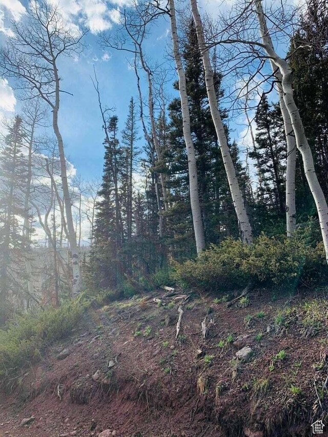 Unit 28, Beaver, UT 84713 - photo 3