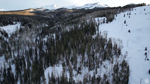 Unit 28, Beaver, UT 84713 - photo 11