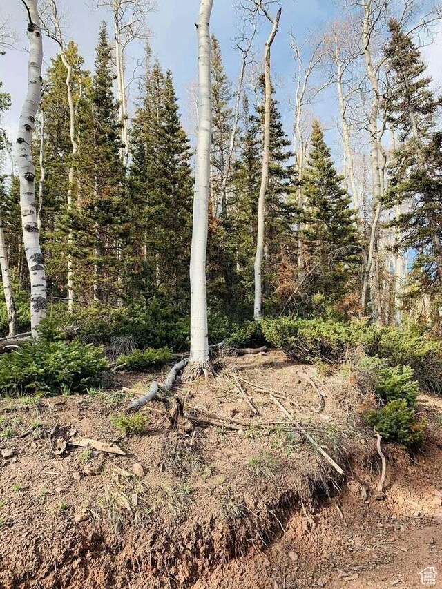 Unit 28, Beaver, UT 84713 - photo 6