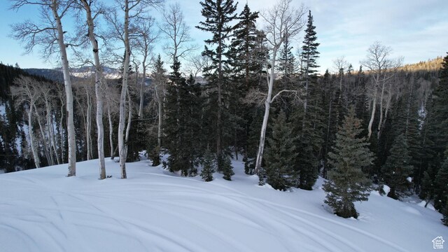 Unit 28, Beaver, UT 84713 - photo 18