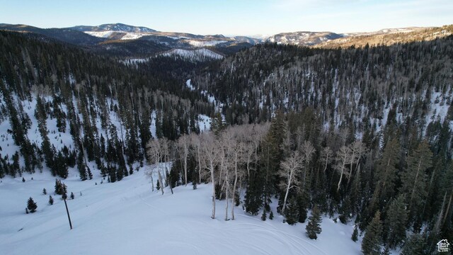 Unit 28, Beaver, UT 84713 - photo 10
