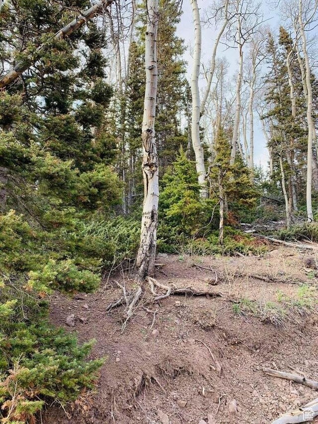 Unit 28, Beaver, UT 84713 - photo 1