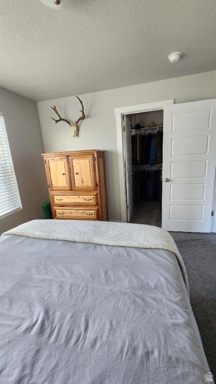 1395 E Kelsey Dr, Eagle Mountain, UT 84005 - carpeted bedroom with a textured ceiling and a walk in closet