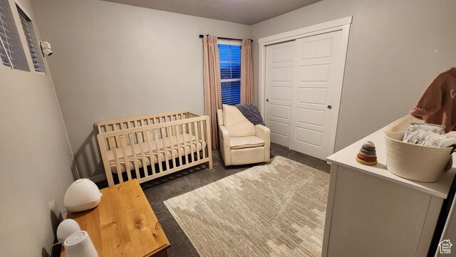 1395 E Kelsey Dr, Eagle Mountain, UT 84005 - bedroom featuring a closet, a crib, and carpet