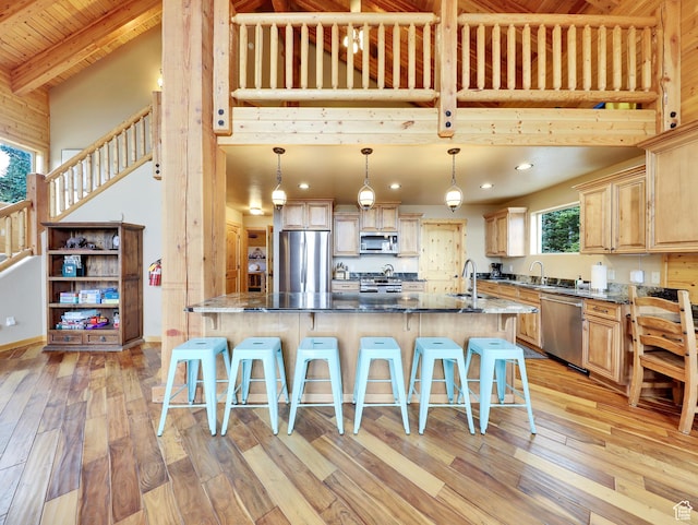 161 N Irish Trl, Brian Head, UT 84719 - kitchen with a healthy amount of sunlight, light brown cabinets, stainless steel appliances, and light wood-type flooring