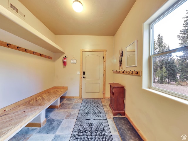 161 N Irish Trl, Brian Head, UT 84719 - mudroom with visible vents, a healthy amount of sunlight, and baseboards