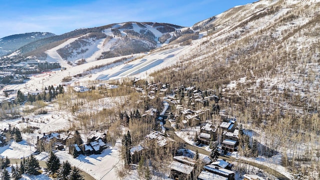 mountain view