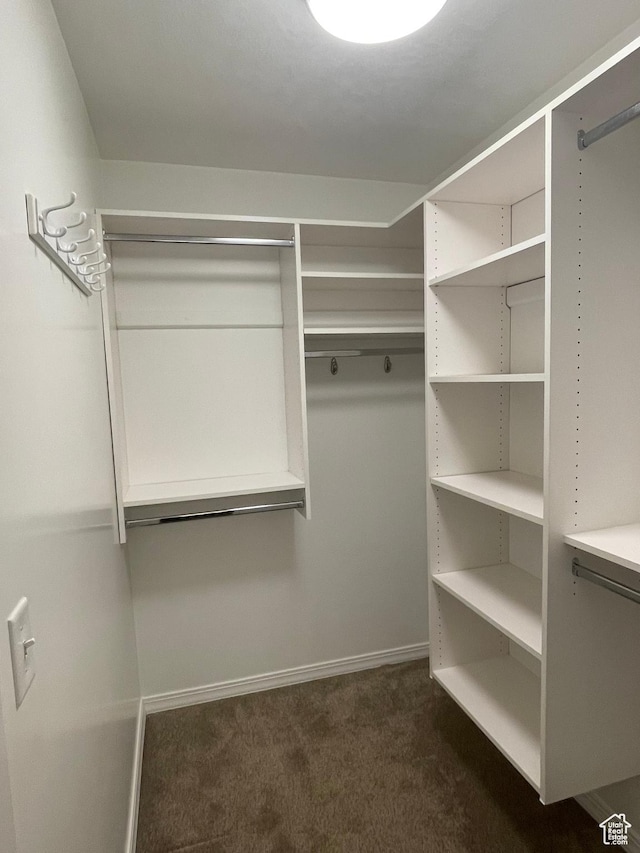 225 W Lyman Ln, Bountiful, UT 84010 - walk in closet with dark carpet