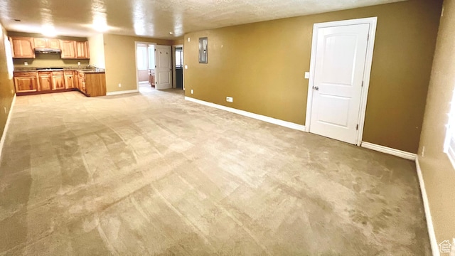 15 E 1100 S, Vernal, UT 84078 - unfurnished living room with electric panel, baseboards, and light carpet
