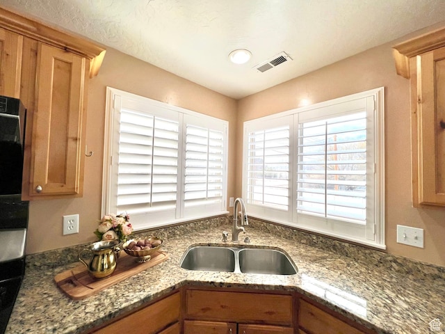 15 E 1100 S, Vernal, UT 84078 - kitchen with plenty of natural light, visible vents, stone counters, and a sink