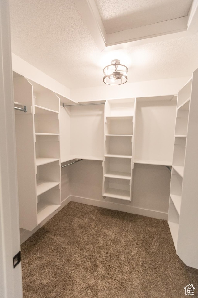 1183 S 1335 E Unit 76, Garland, UT 84312 - spacious closet with dark carpet