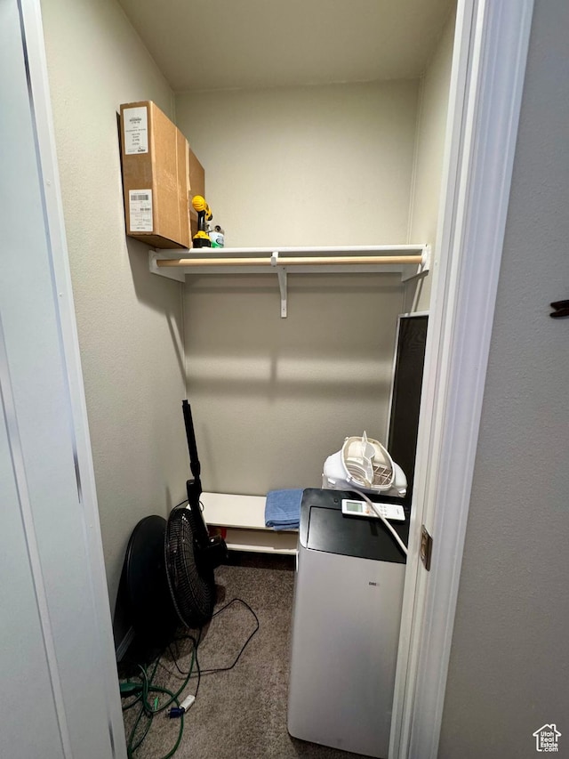 924 E Breeze Way Unit 106, Garden City, UT 84028 - spacious closet featuring carpet