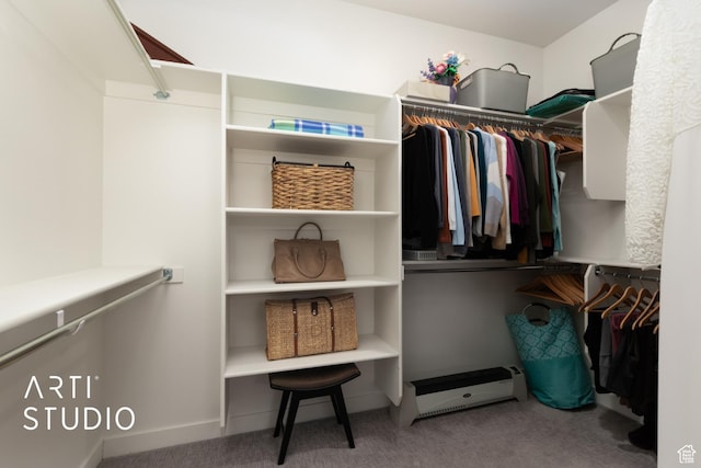 4672 W Tulip N, Cedar Hills, UT 84062 - walk in closet with carpet flooring