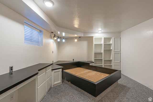 717 E Park Dr N, Hyrum, UT 84319 - interior space with rail lighting and carpet flooring