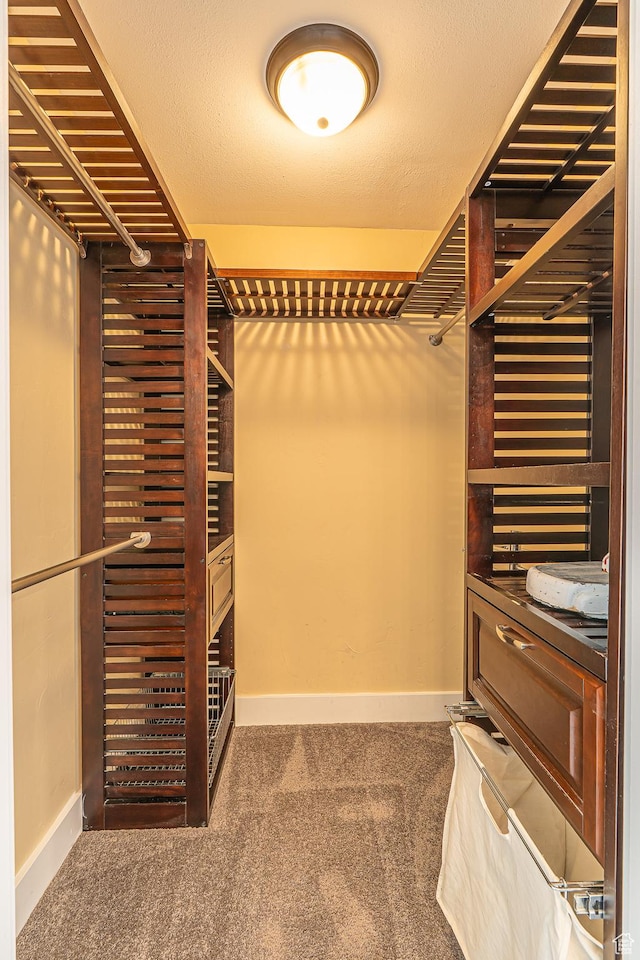 717 E Park Dr N, Hyrum, UT 84319 - walk in closet featuring carpet