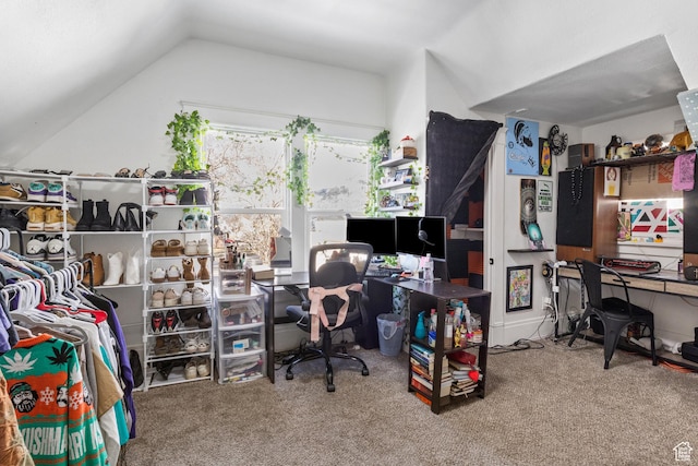 739 24th St, Ogden, UT 84401 - office space with lofted ceiling and carpet flooring
