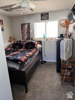bedroom featuring carpet floors