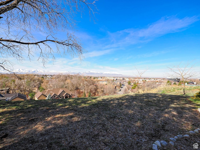 1325 E Milne Ln S, Cottonwood Heights, UT 84047 - view of yard