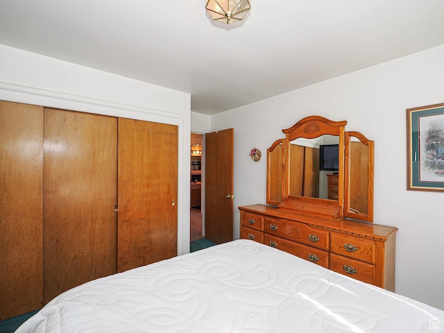 1325 E Milne Ln S, Cottonwood Heights, UT 84047 - bedroom with a closet