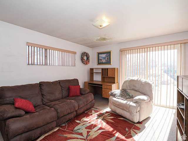 1325 E Milne Ln S, Cottonwood Heights, UT 84047 - view of carpeted living area