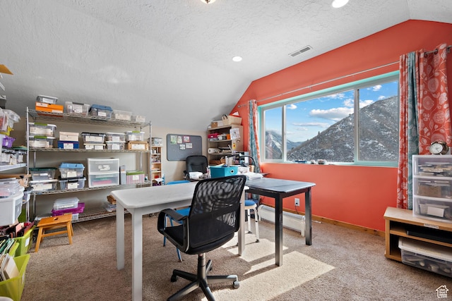 1762 S Hobblecreek Haven Rd, Springville, UT 84663 - office area with vaulted ceiling, carpet flooring, a textured ceiling, and a mountain view