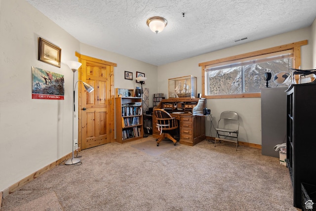 1762 S Hobblecreek Haven Rd, Springville, UT 84663 - carpeted office featuring a textured ceiling and baseboards