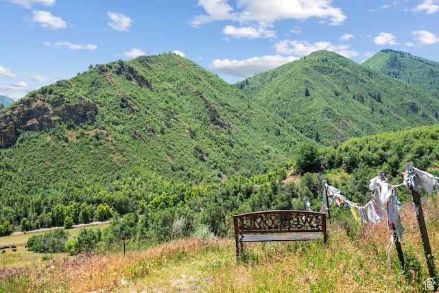 1762 S Hobblecreek Haven Rd, Springville, UT 84663 - view of mountain backdrop featuring a forest