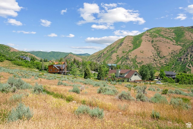 1762 S Hobblecreek Haven Rd, Springville, UT 84663 - view of mountain background with rural landscape