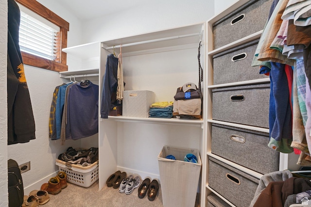 13862 S 7300 W, Herriman, UT 84096 - walk in closet featuring carpet flooring