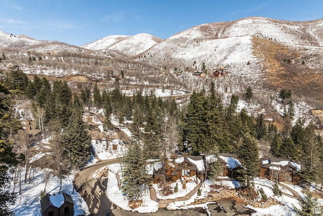 8840 N The Unit 37, Sundance, UT 84604 - property view of mountains
