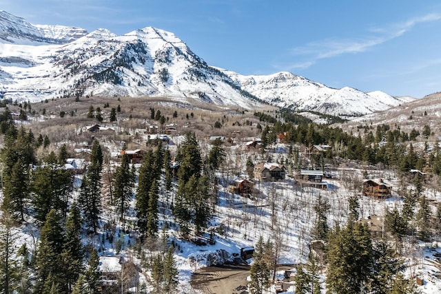 8840 N The Unit 37, Sundance, UT 84604 - view of mountain background