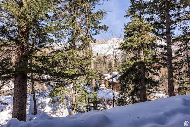 8840 N The Unit 37, Sundance, UT 84604 - mountain view