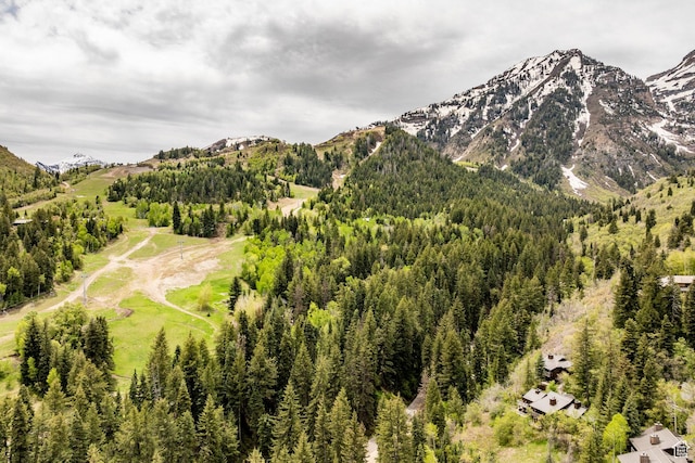 8840 N The Unit 37, Sundance, UT 84604 - mountain view