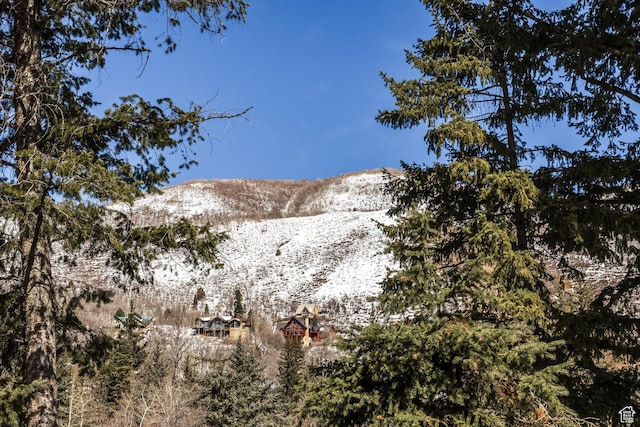 8840 N The Unit 37, Sundance, UT 84604 - view of mountain feature