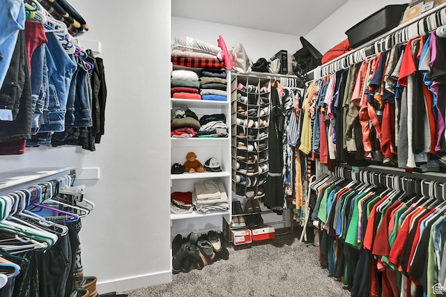 spacious closet featuring carpet