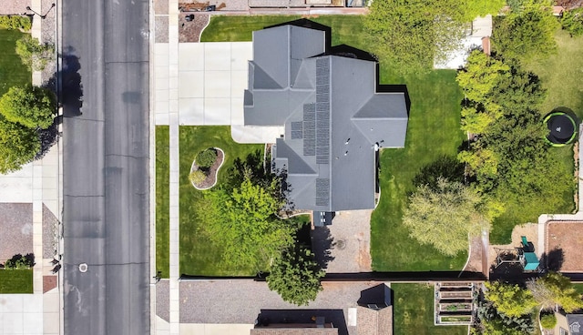 bird's eye view