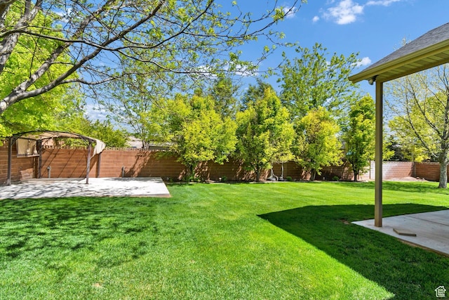 view of yard featuring a patio area and a pergola