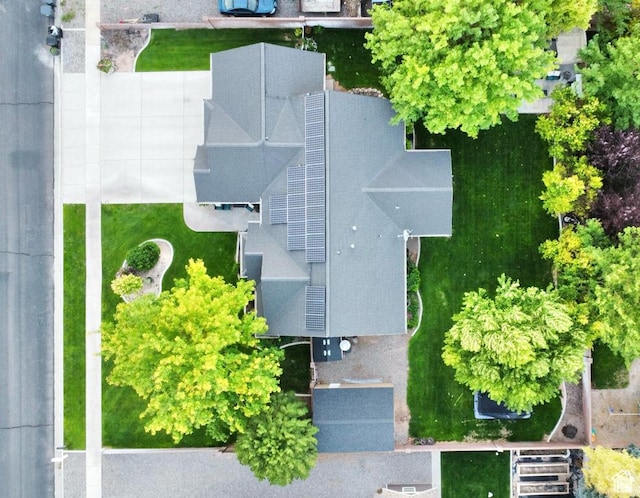 bird's eye view