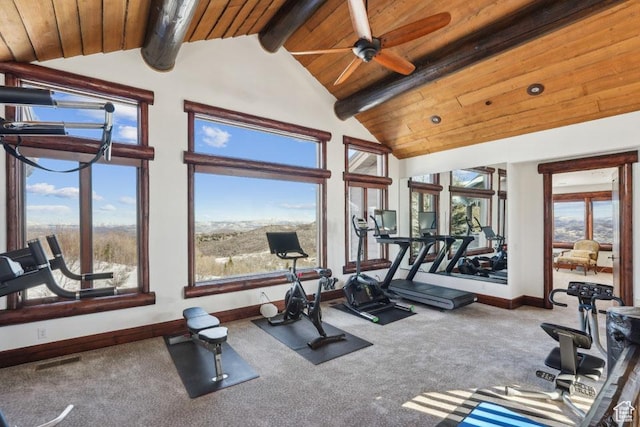 3438 Snow Top Ct, Park City, UT 84060 - exercise room featuring visible vents, carpet, wood ceiling, and a healthy amount of sunlight