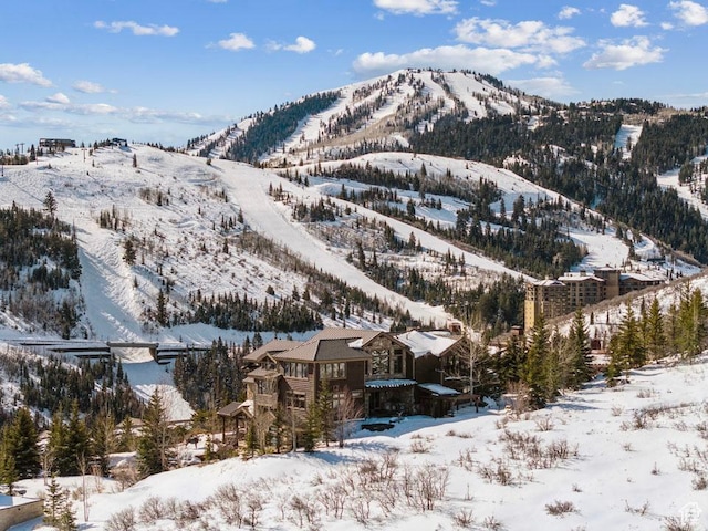 mountain view