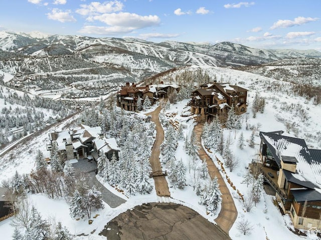 3438 Snow Top Ct, Park City, UT 84060 - snowy aerial view with a mountain view